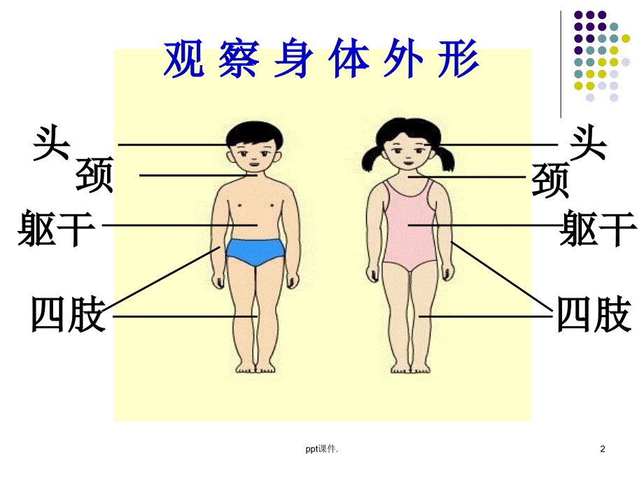 保护我们的身体ppt课件_第2页