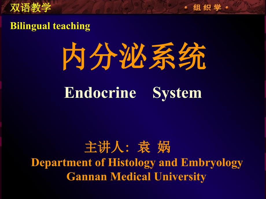 内分泌系统双语 ppt课件_第1页