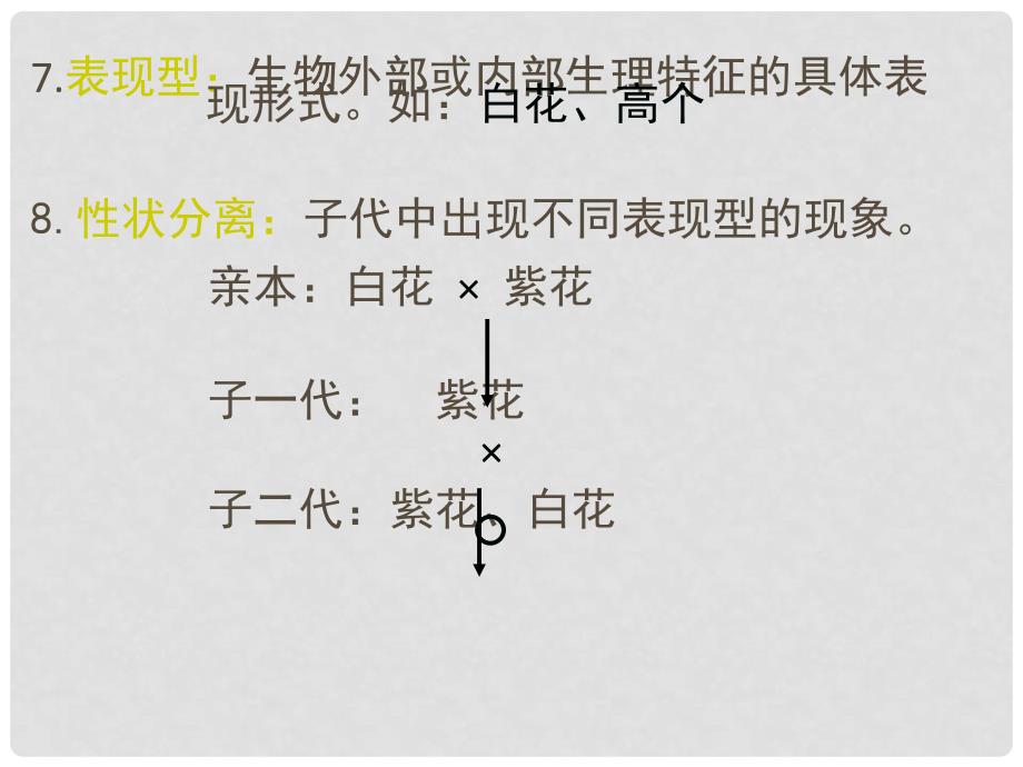 高中生物 第三册 第8章 遗传与变异 8.1 遗传规律课件3 沪科版_第4页