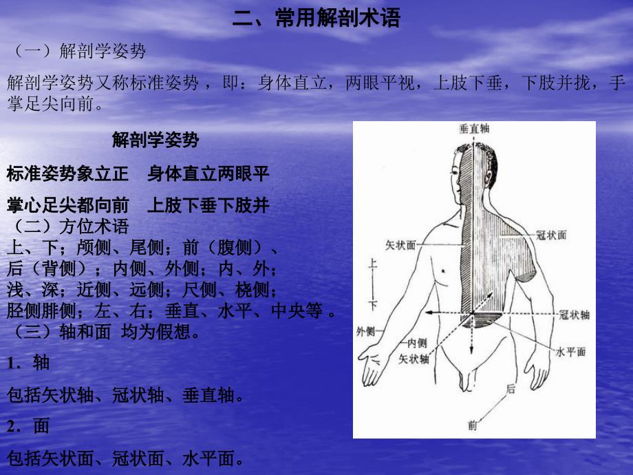 瑜伽人体解剖学课件.ppt_第4页