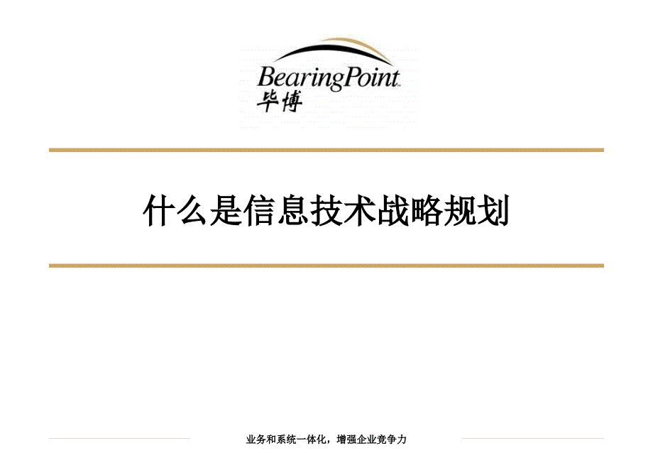 企业信息技术战略规划_第3页