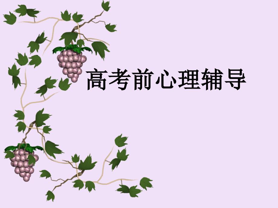 高考前心理辅导_第1页