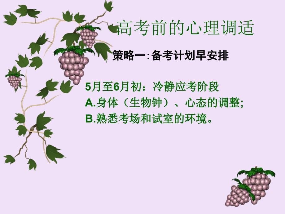 高考前心理辅导_第5页