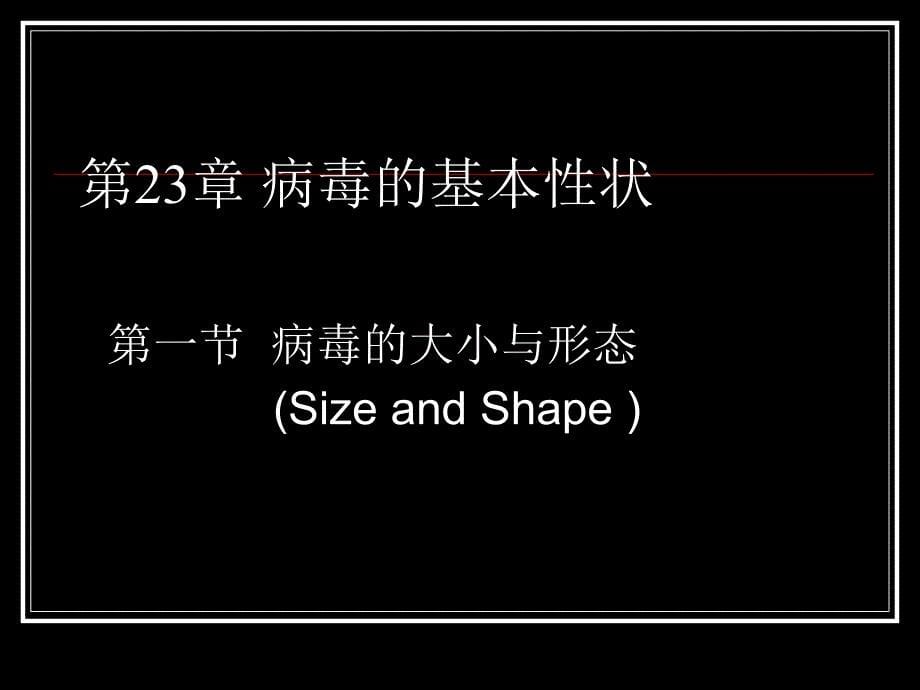 病毒学virology_第5页