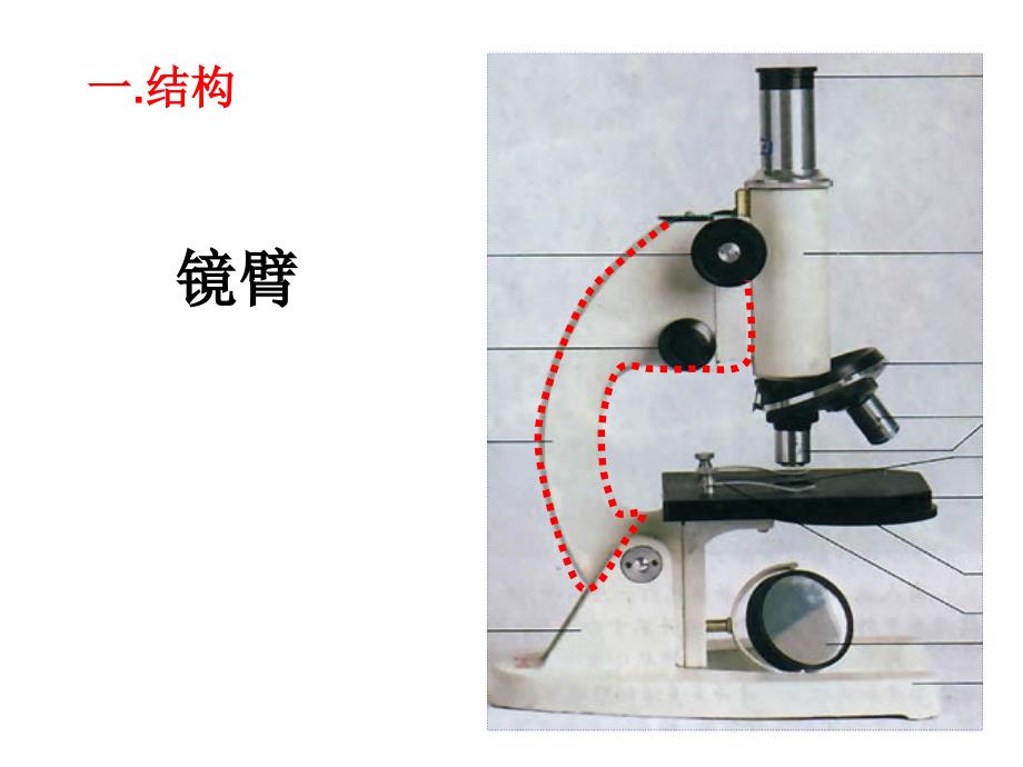 12显微镜的使用方法_第2页