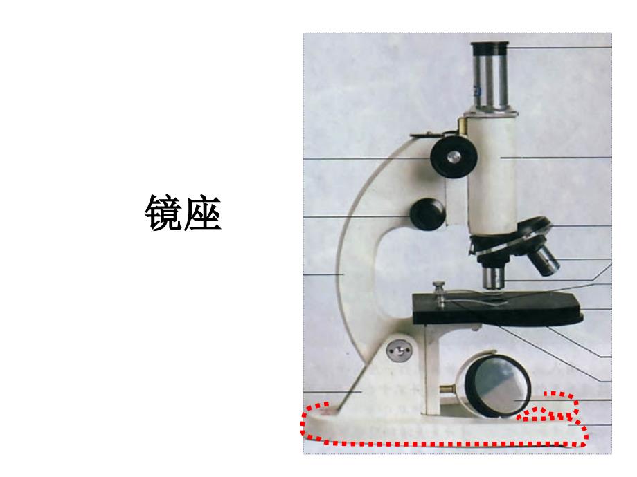 12显微镜的使用方法_第4页