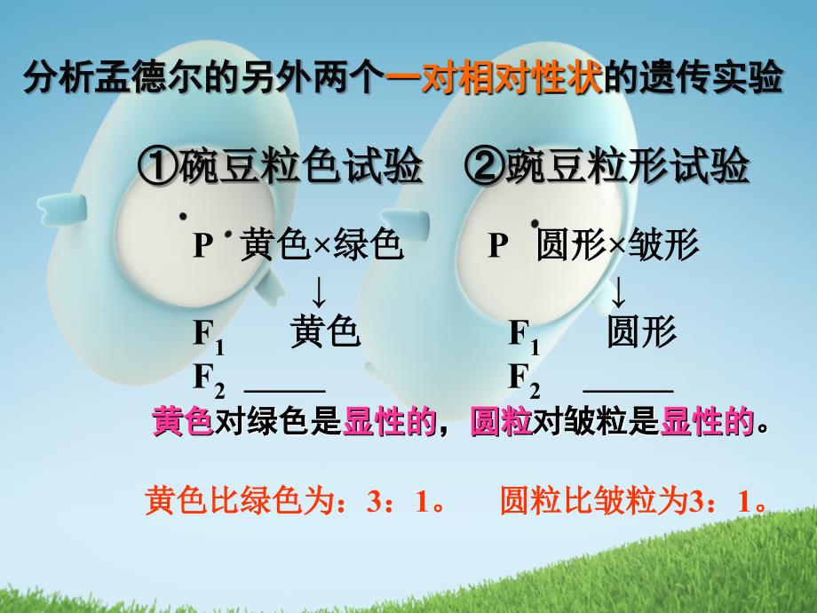 董志敏《基因自由组合定_第3页