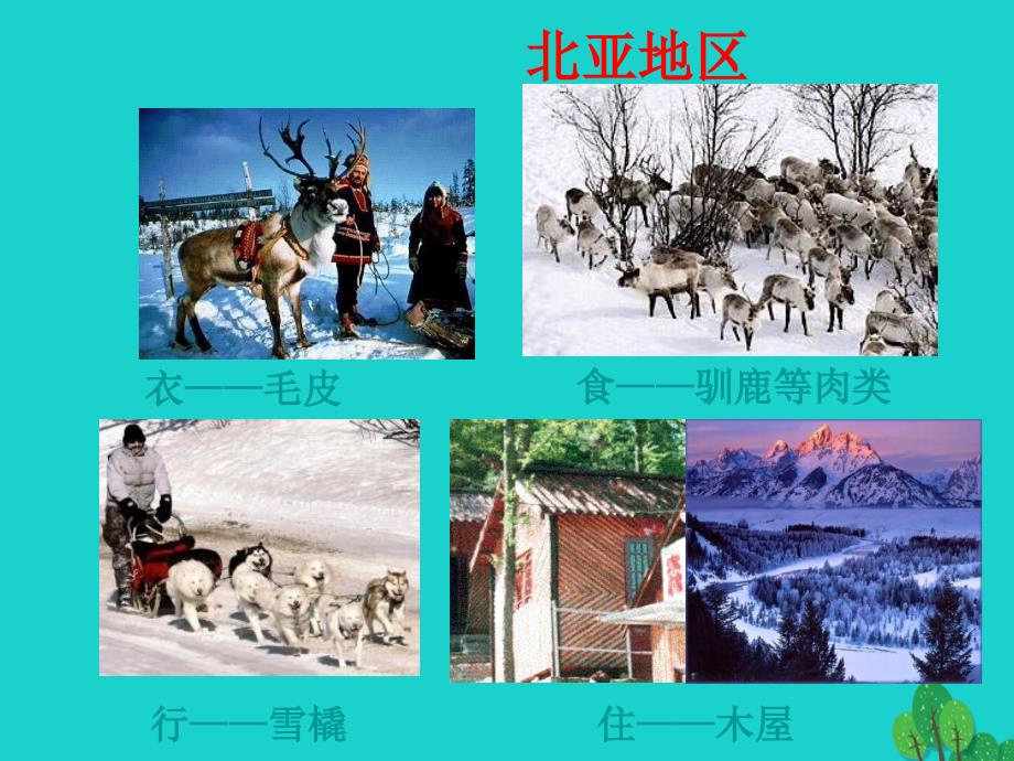 八年级地理下册 第5章 学习与探究——亚洲的人文环境和地域差异 亚洲人口与地域文化课件 中图版_第3页