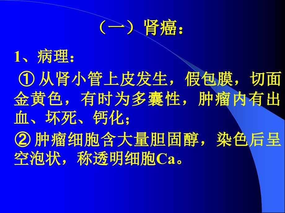 泌尿、男生殖系统肿瘤_第5页