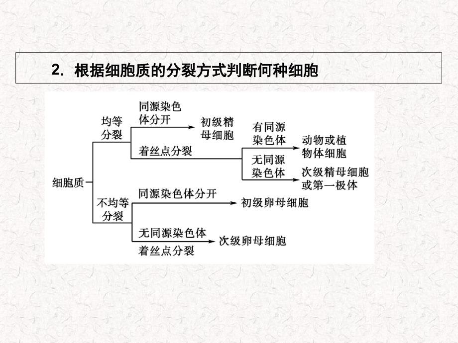 高中生物第2章基因和染色体的关系单元高效整合_第4页