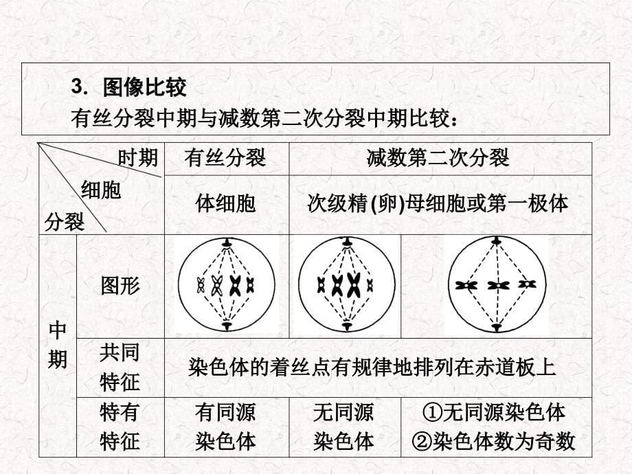 高中生物第2章基因和染色体的关系单元高效整合_第5页