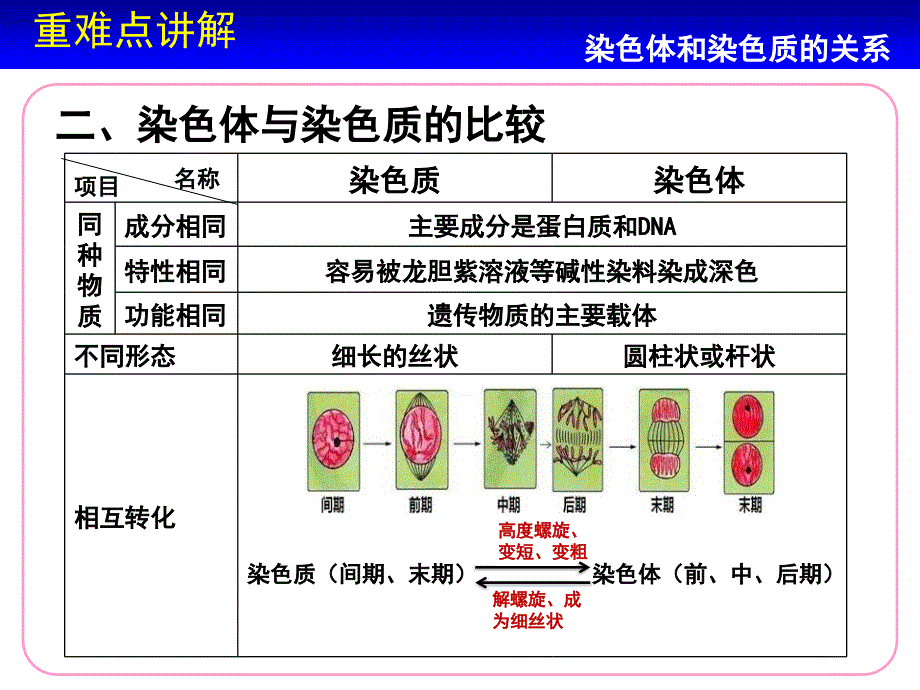 微课+师大附中梅溪湖中学+生物+胡正凯+染色体和染色质的关系_第3页