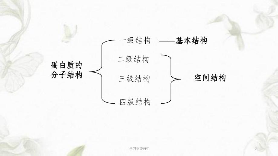 蛋白质的分子结构课件_第2页