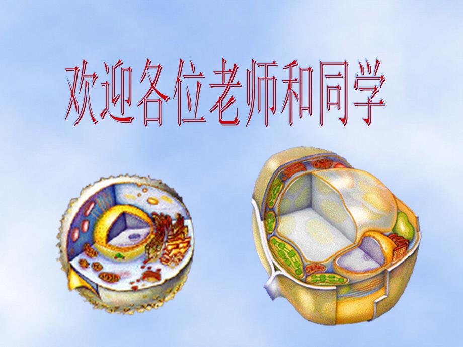细胞是活动单位_第1页