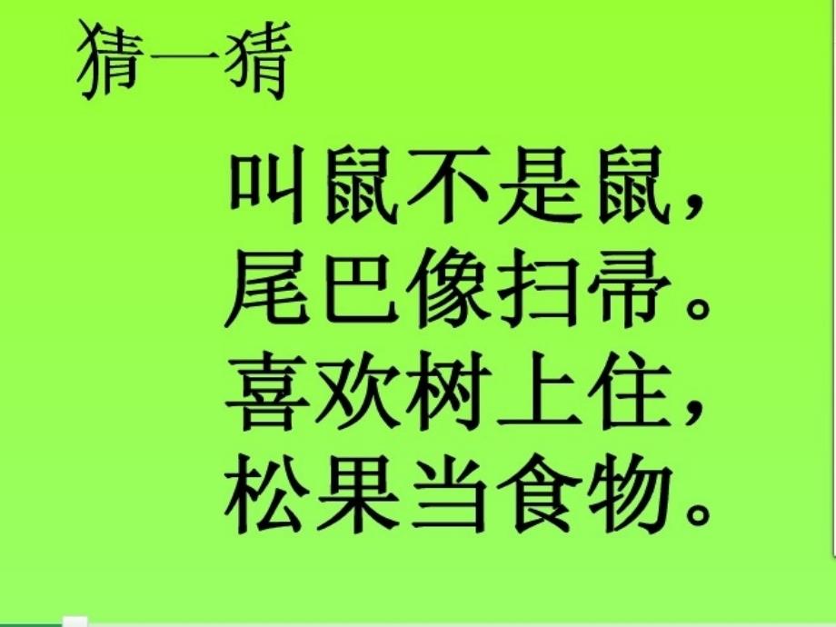 《松鼠》 (2)_第1页