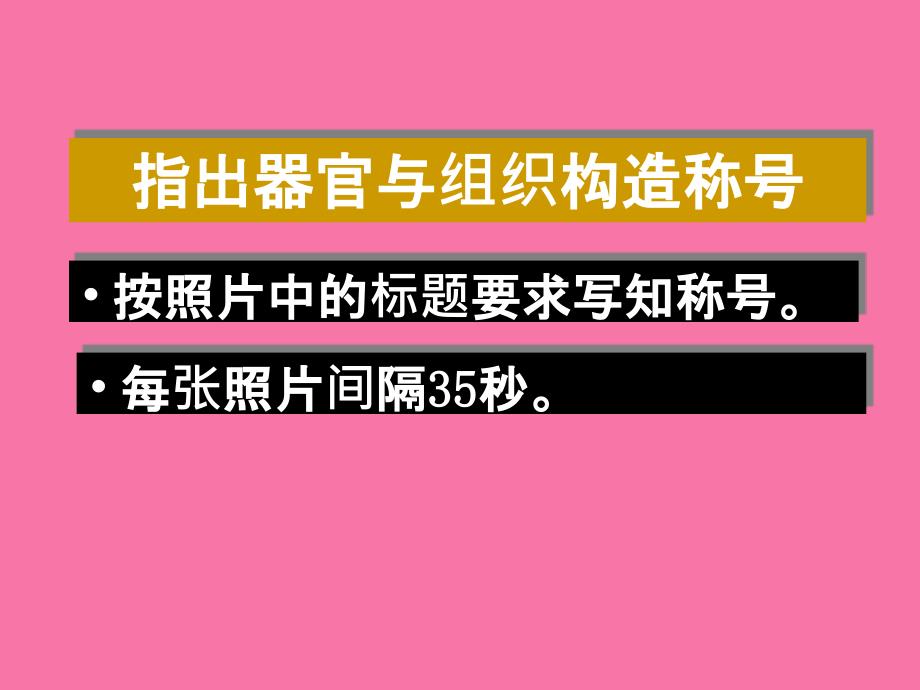 消化腺组胚实验考试ppt课件_第2页