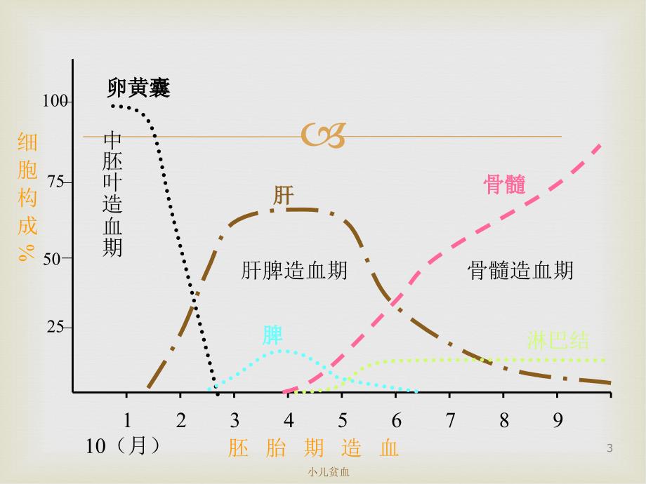 儿科学——小儿贫血_第3页