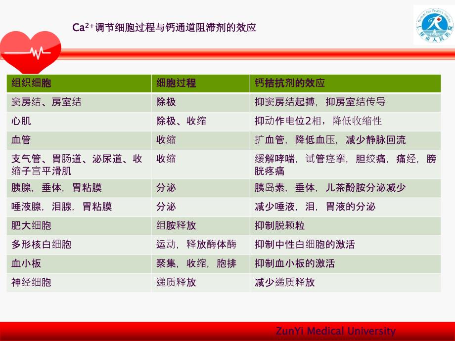 CCB类降压药ppt课件_第2页