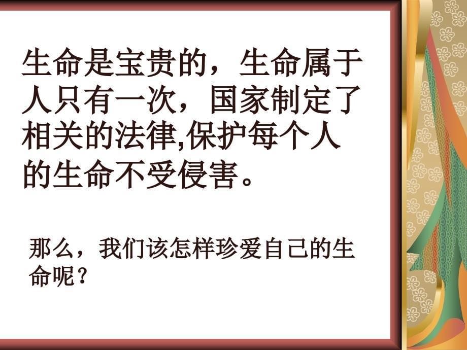 珍爱生命,拒绝垃圾食品主题班会课件_第5页