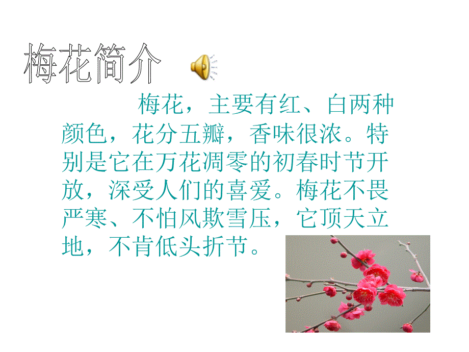 《梅花魂》课件6_第2页