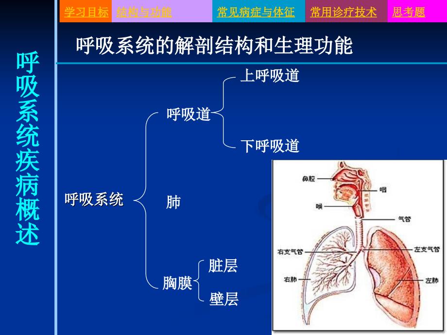 内科护理学概述ppt课件_第3页