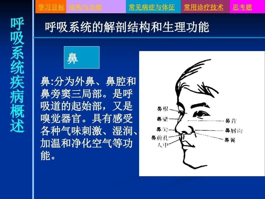 内科护理学概述ppt课件_第5页