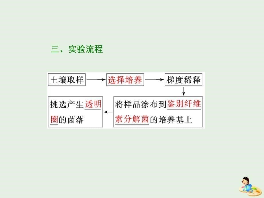 高中生物专题2课题3分解纤维素的微生物的分离课件新人教版选修1_第5页