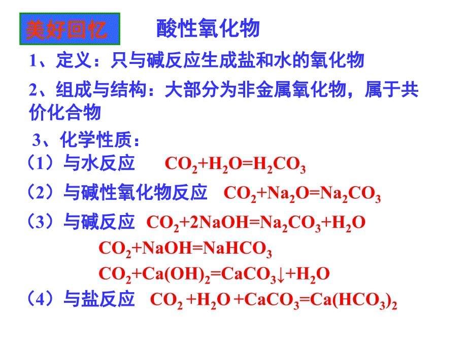 《生存的环境》PPT课件.ppt_第5页