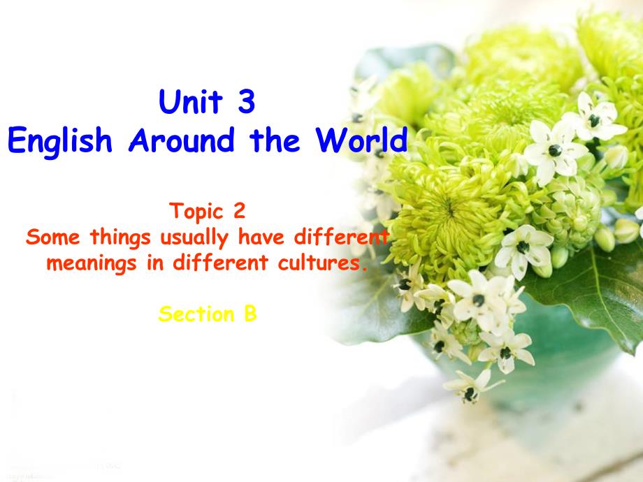 Unit3Topic2SectionB_第1页