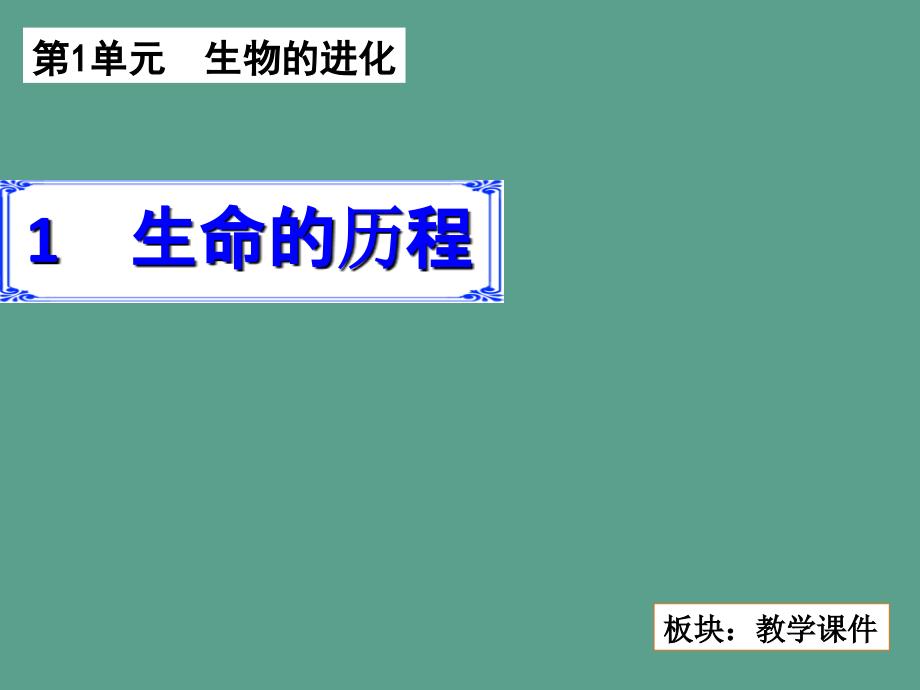 六年级下册科学生命的历程3ppt课件_第2页