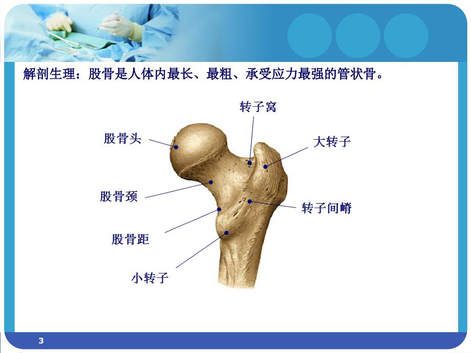 股骨骨折护理课件_第3页