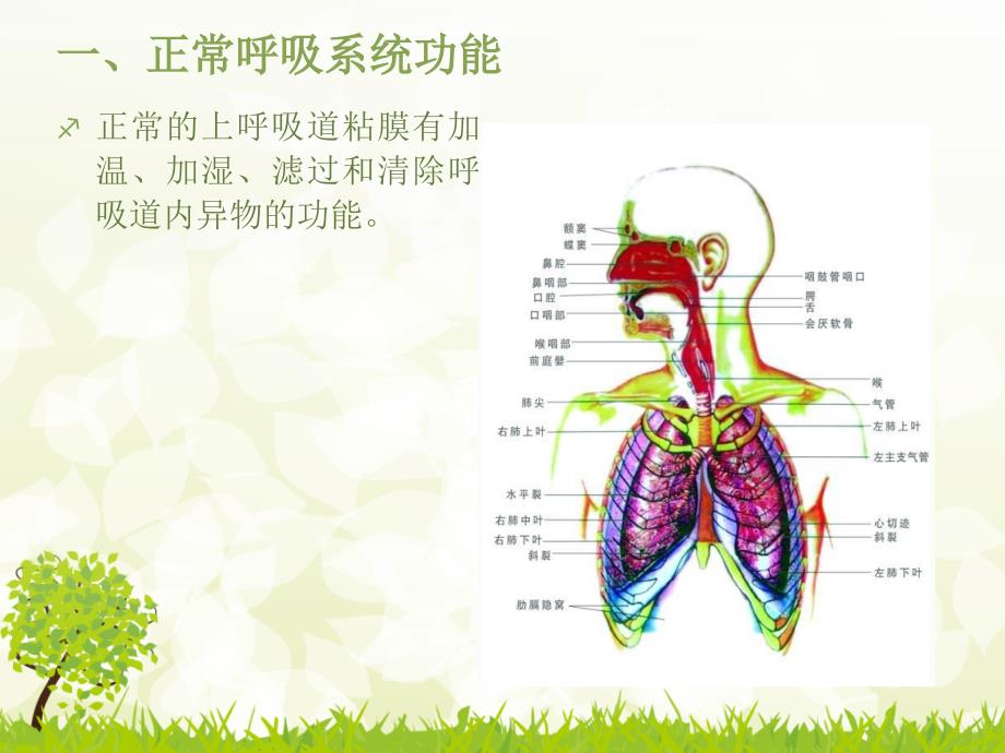 危重患者的气道护理_第3页