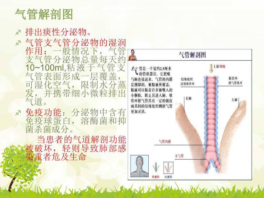 危重患者的气道护理_第4页