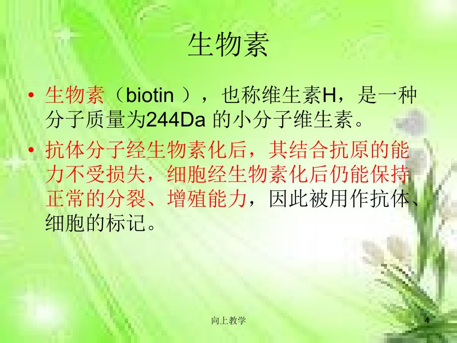 亲和素和生物素系统【竹菊书苑】_第4页