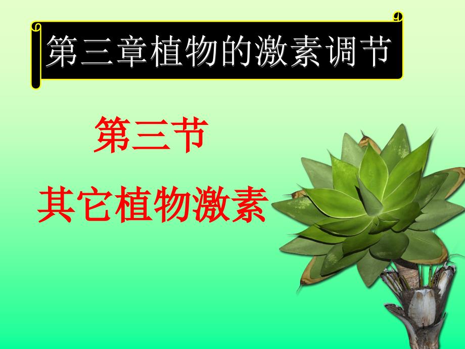 其他植物激素_第1页