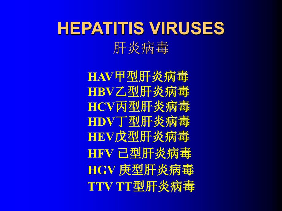 HEPATITISVIRUSES肝炎病毒_第1页