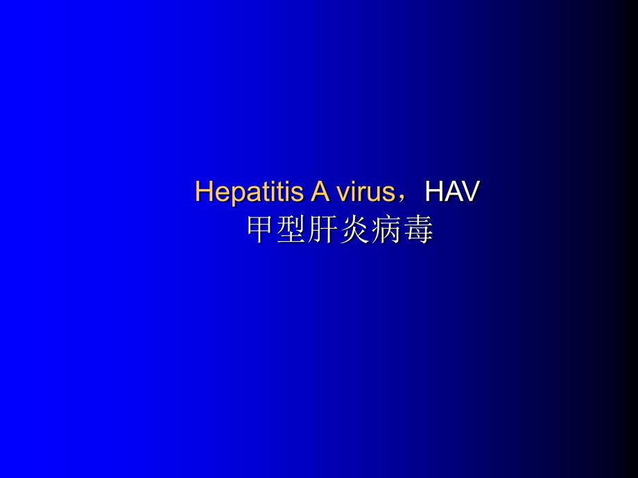 HEPATITISVIRUSES肝炎病毒_第2页