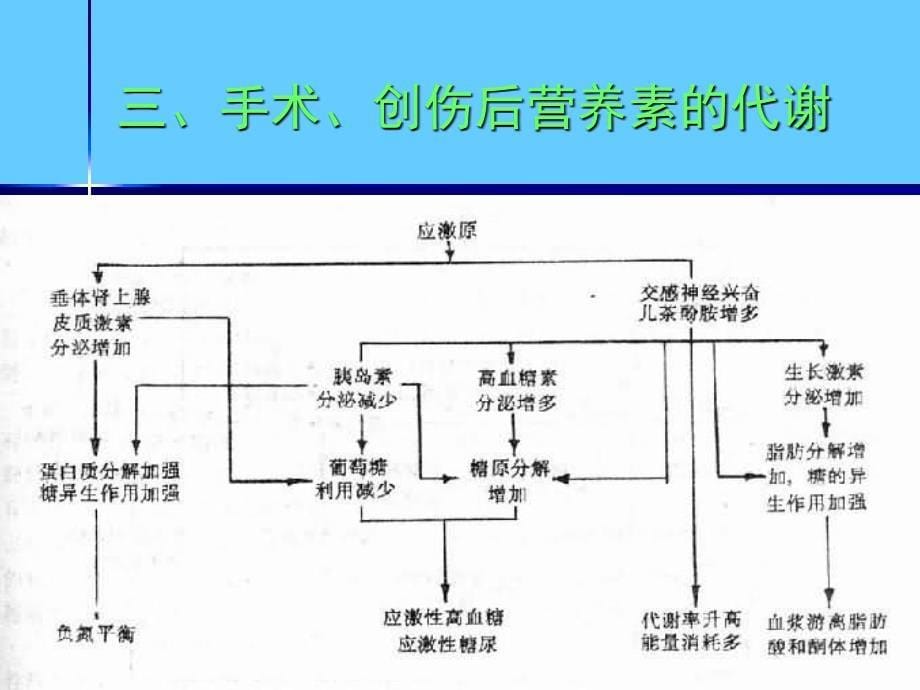 营养支持病人的护理_第5页