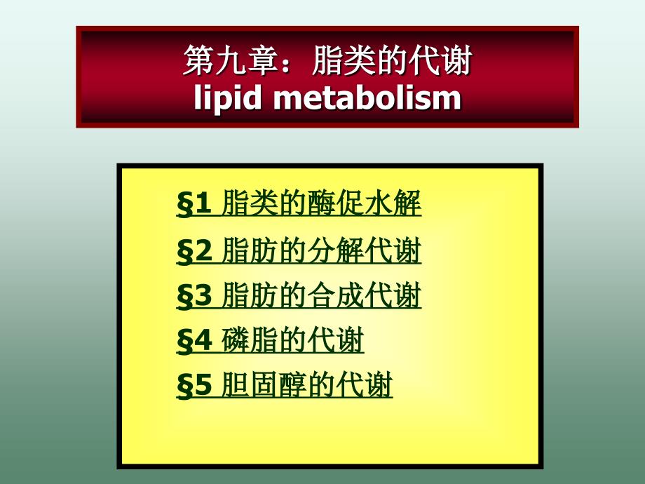 生物化学第九章脂代谢_第2页