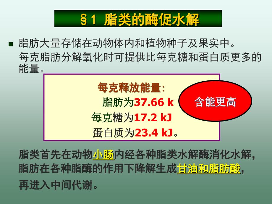 生物化学第九章脂代谢_第4页