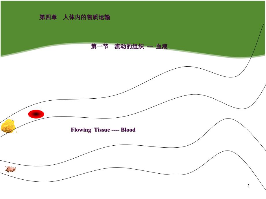 七年级生物血液ppt课件_第1页