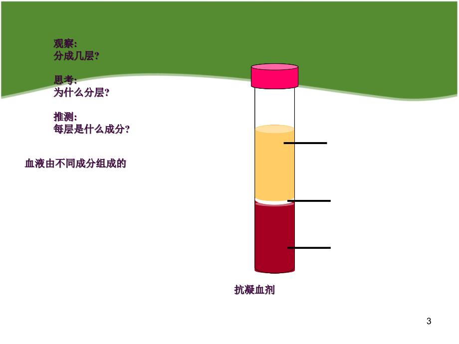 七年级生物血液ppt课件_第3页