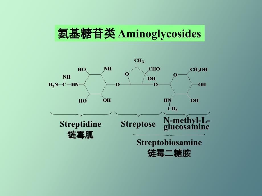 蛋白合成抑制剂_第3页