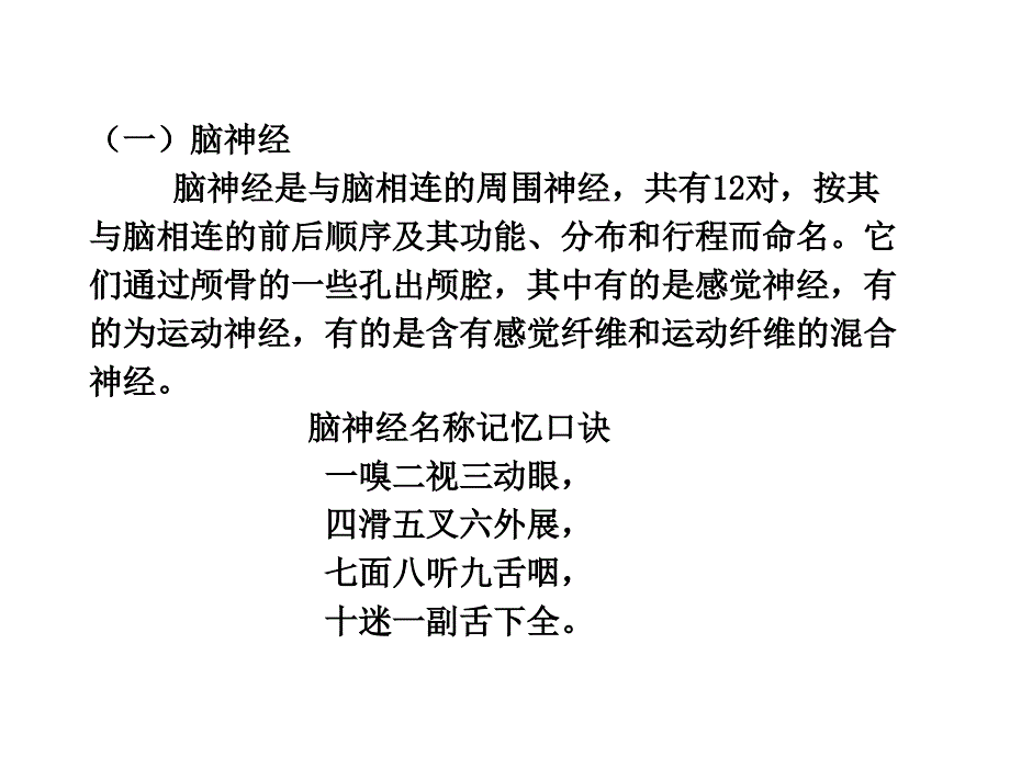 生理学课件神经系统_第4页