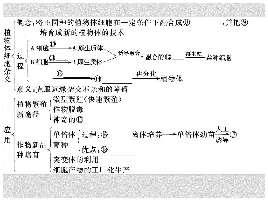 高考生物一轮复习资料 专题二克隆技术课件 新人教版选修3_第5页