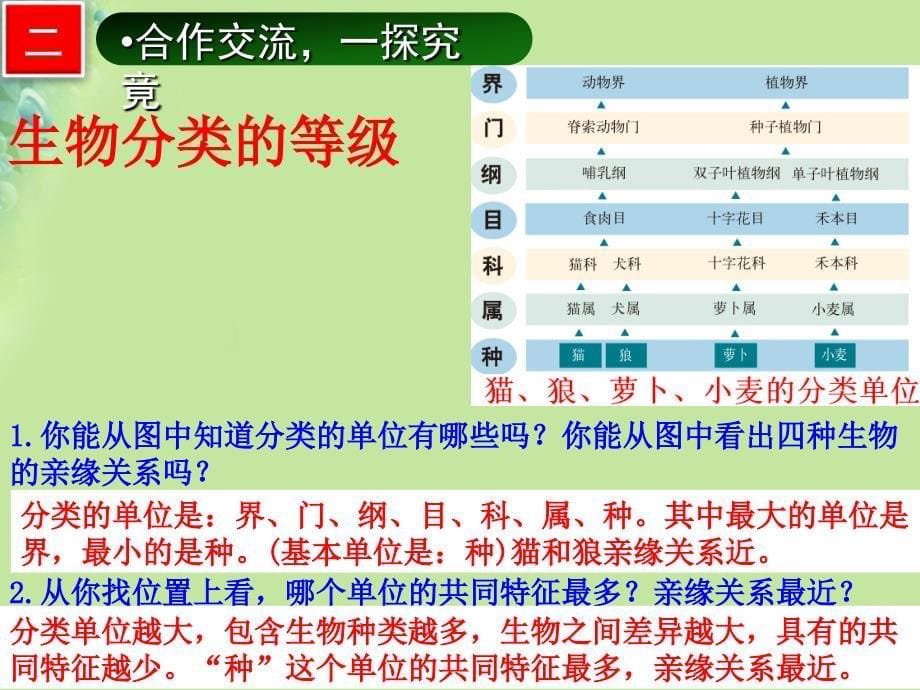 七年级生物上册 2.4.2《生物的分类单位》 （新版）济南版_第5页