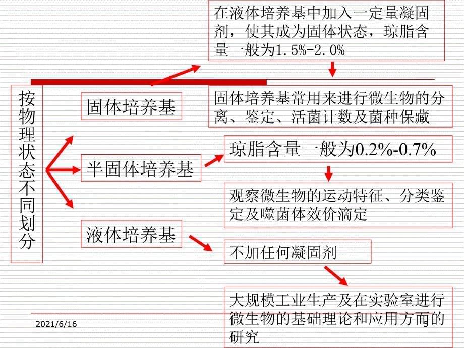 微生物平板划线试验_第5页