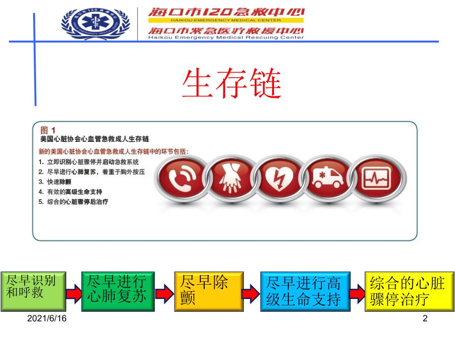 1.成人基础生命支持_第2页