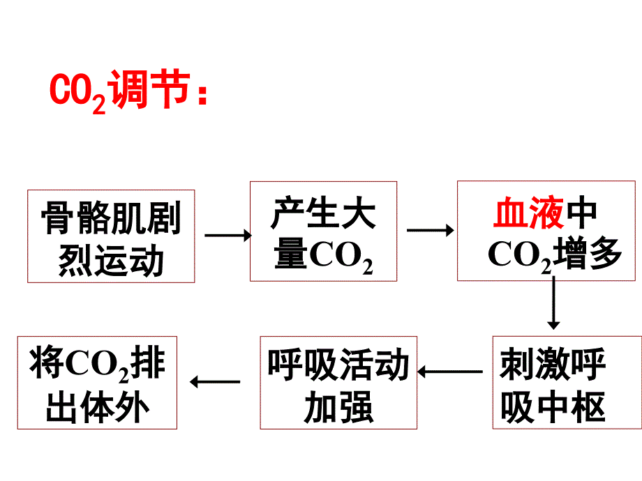 第二章第三节神经和体液调节的关系_第4页