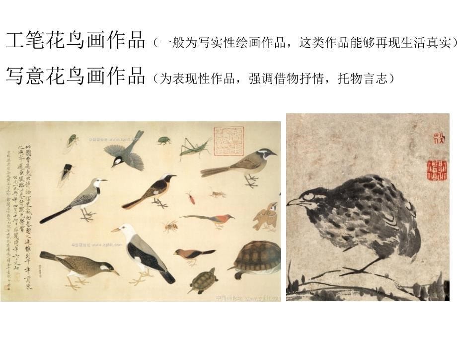 中国画之工笔画——白描花卉[精选文档]_第5页